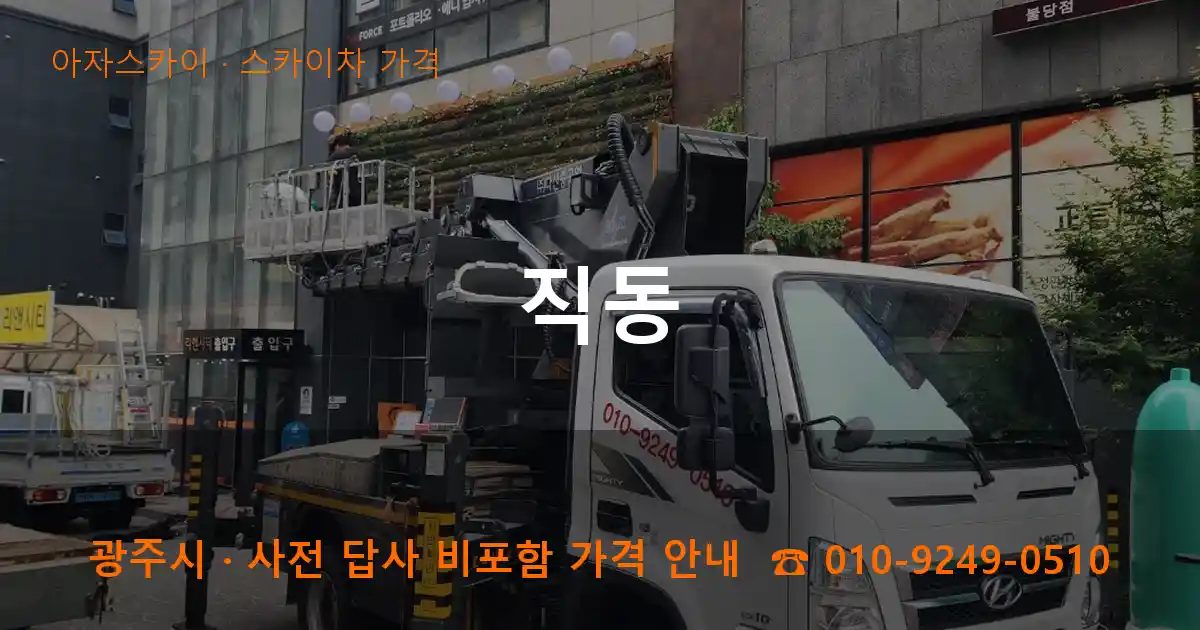 광주시 직동 스카이차 가격 작업