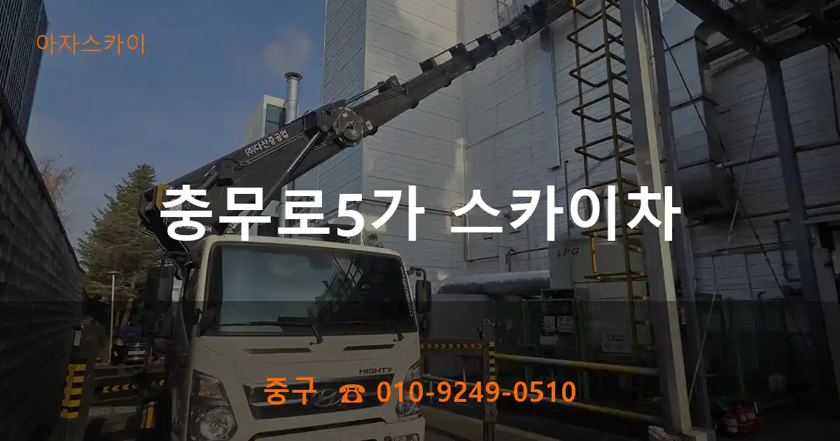 중구 충무로5가 스카이차