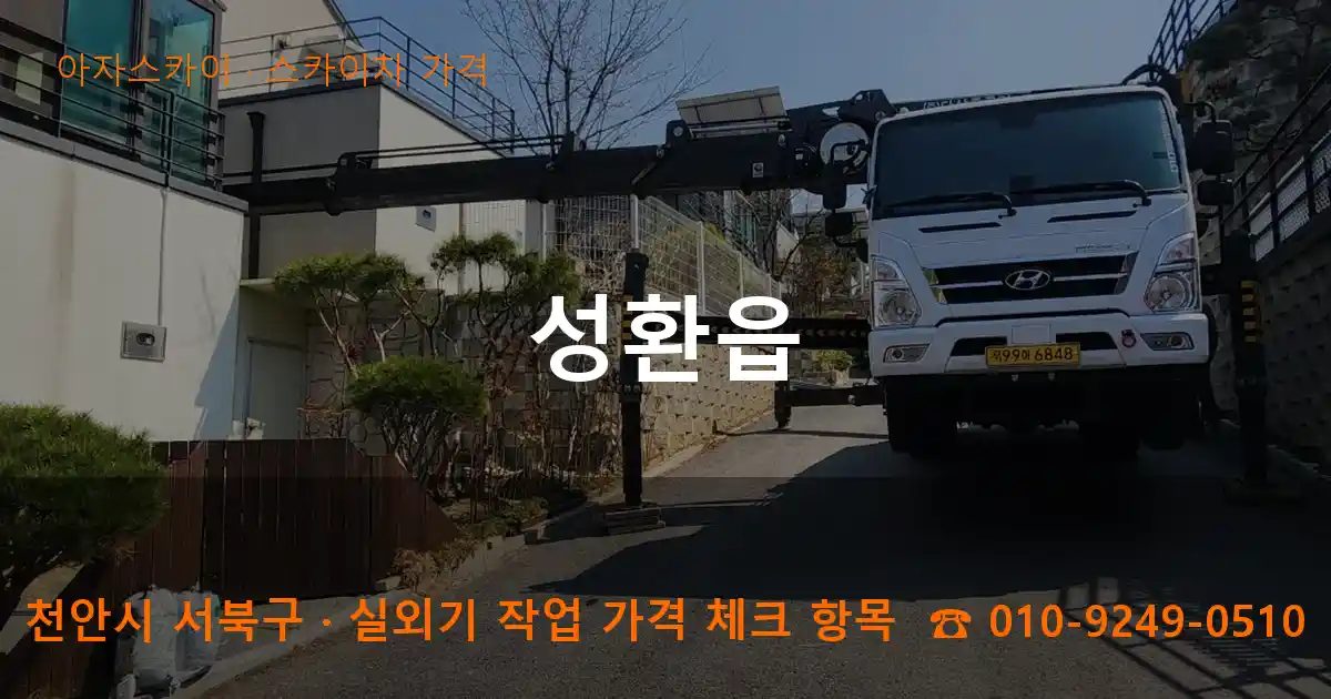 천안시 서북구 성환읍 스카이차 가격 작업