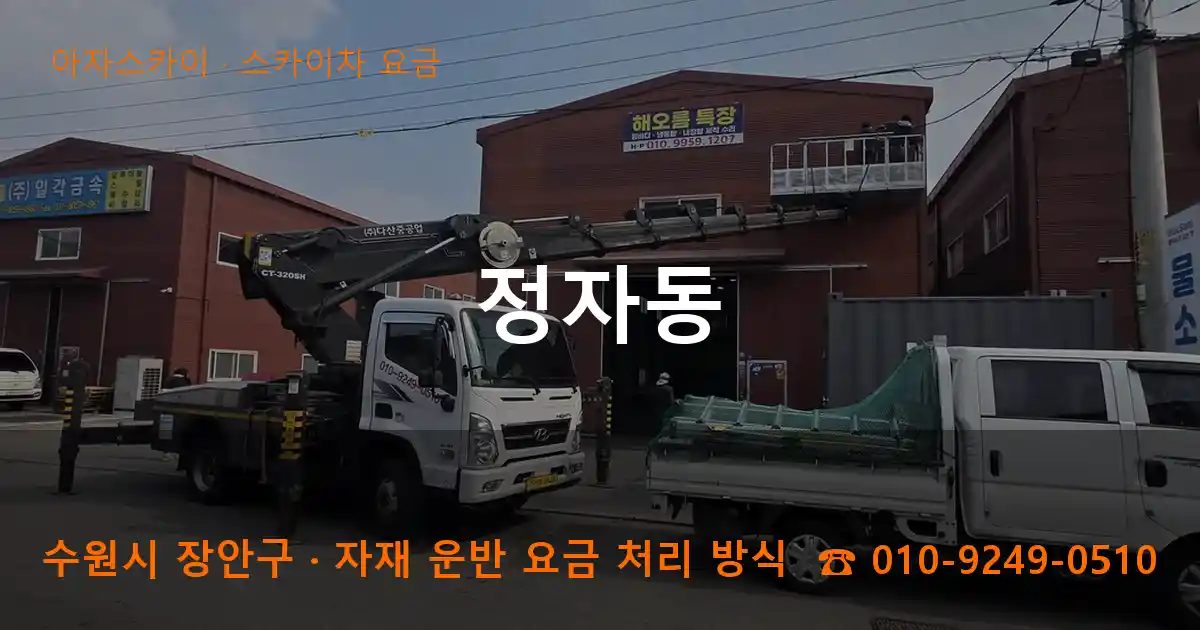 수원시 장안구 정자동 스카이차 요금 작업