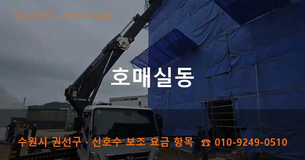 수원 권선구 호매실동 스카이차 요금 작업