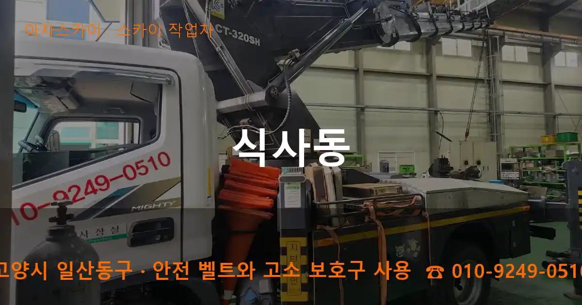 고양시 일산동구 식사동 스카이 작업차 작업