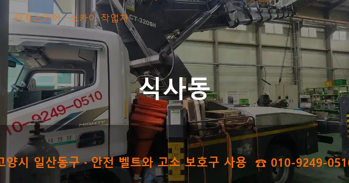 고양시 일산동구 식사동 스카이 작업차 작업