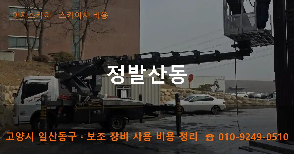 고양시 일산동구 정발산동 스카이차 비용 작업