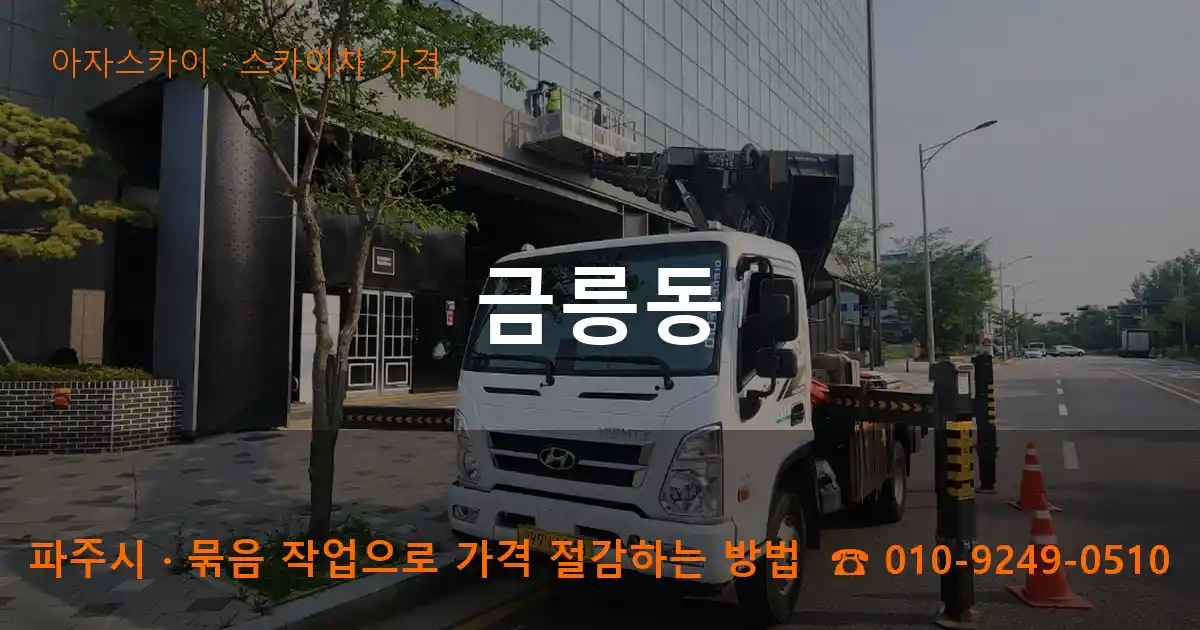 파주시 금릉동 스카이차 가격 작업