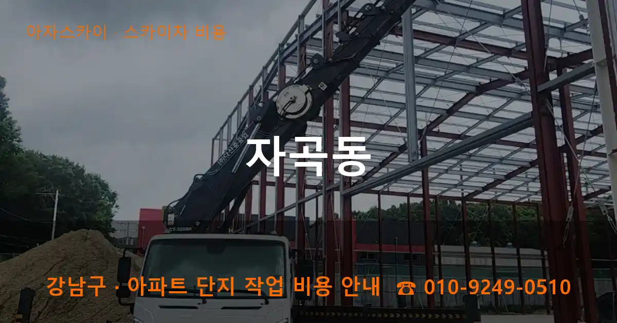 강남구 자곡동 스카이차 비용 작업