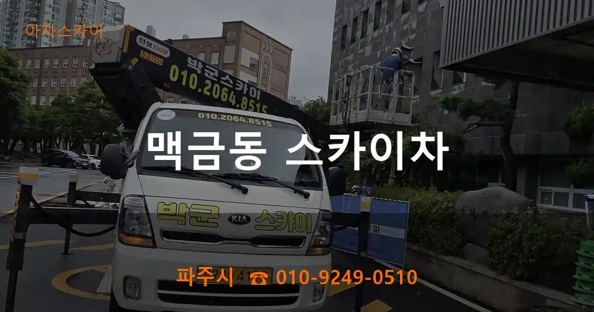 파주시 맥금동 스카이차