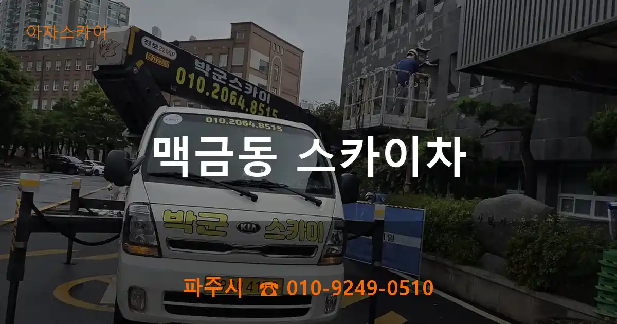 파주시 맥금동 스카이차