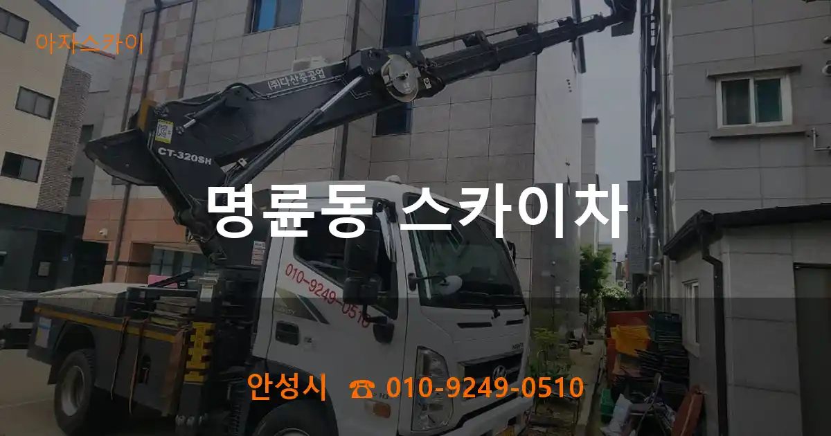 안성시 명륜동 스카이차