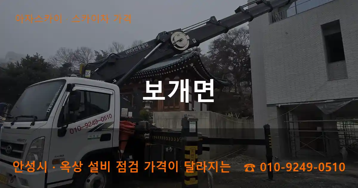 안성시 보개면 스카이차 가격 작업