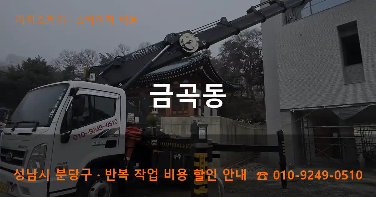 성남시 분당구 금곡동 스카이차 비용 작업