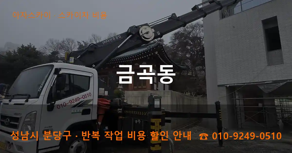 성남 분당구 금곡동 스카이차 비용 작업
