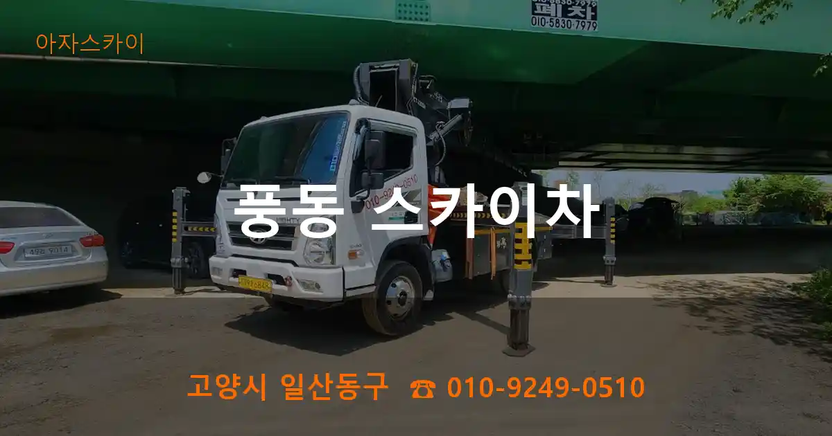 고양시 일산동구 풍동 스카이차