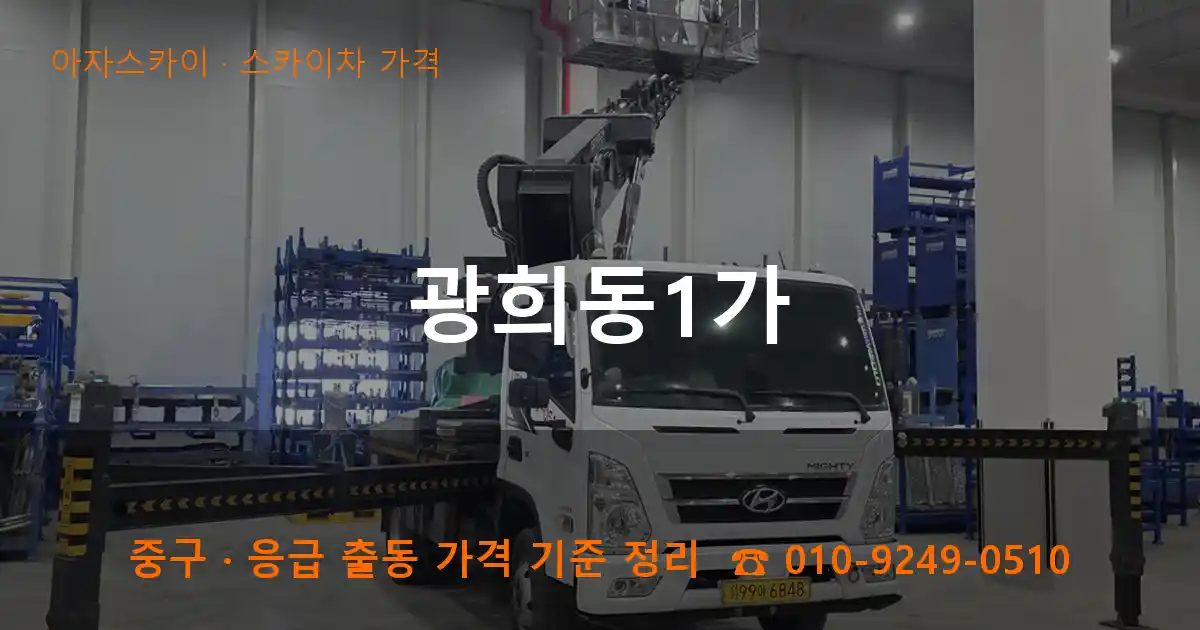 중구 광희동1가 스카이차 가격 작업