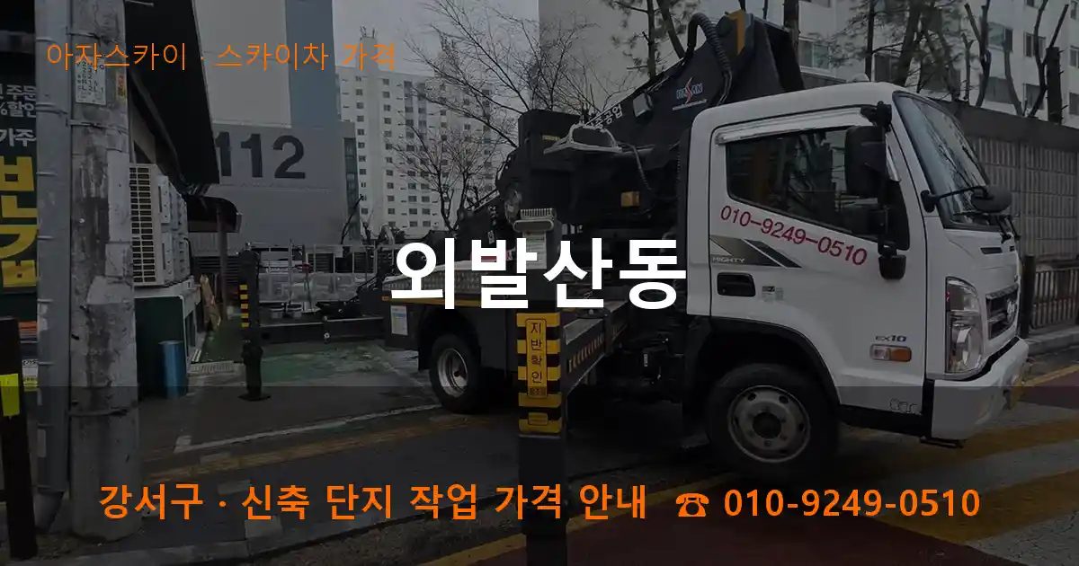 강서구 외발산동 스카이차 가격 작업