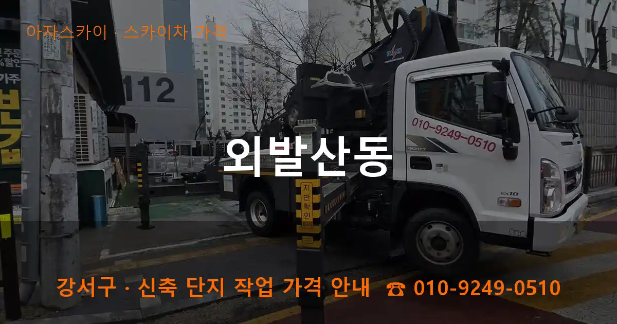 강서구 외발산동 스카이차 가격 작업