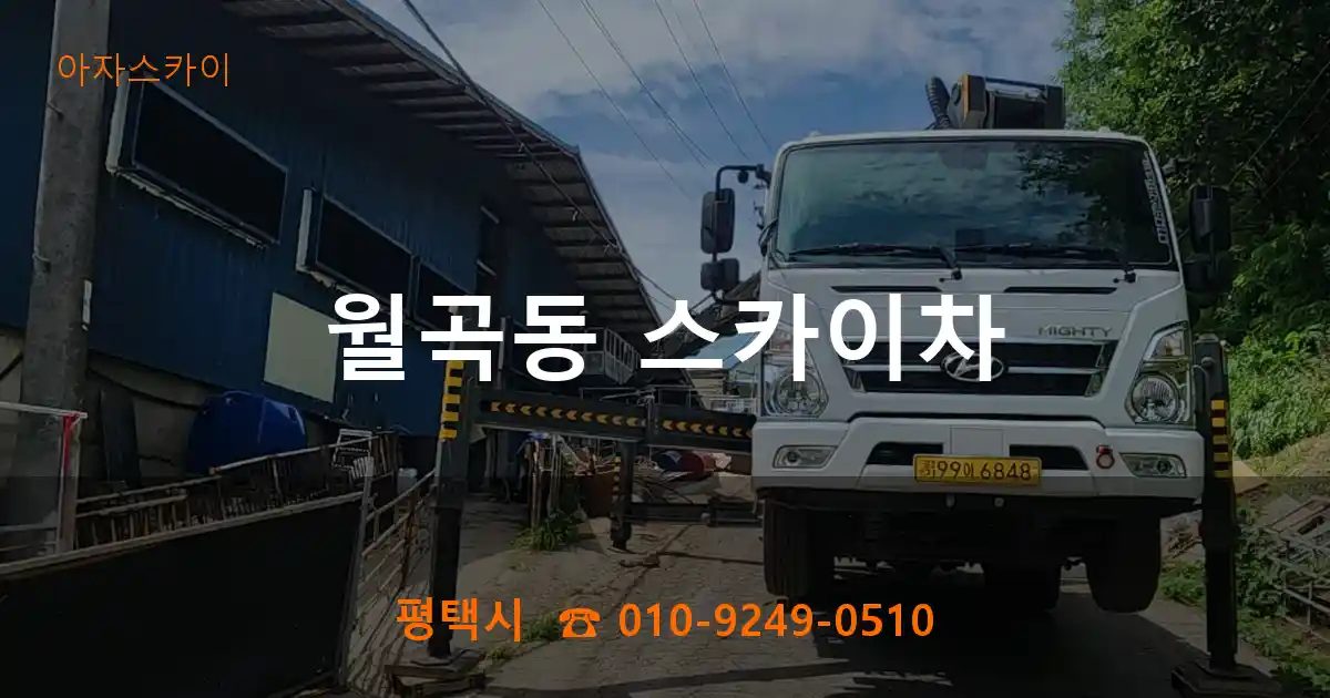 평택시 월곡동 스카이차