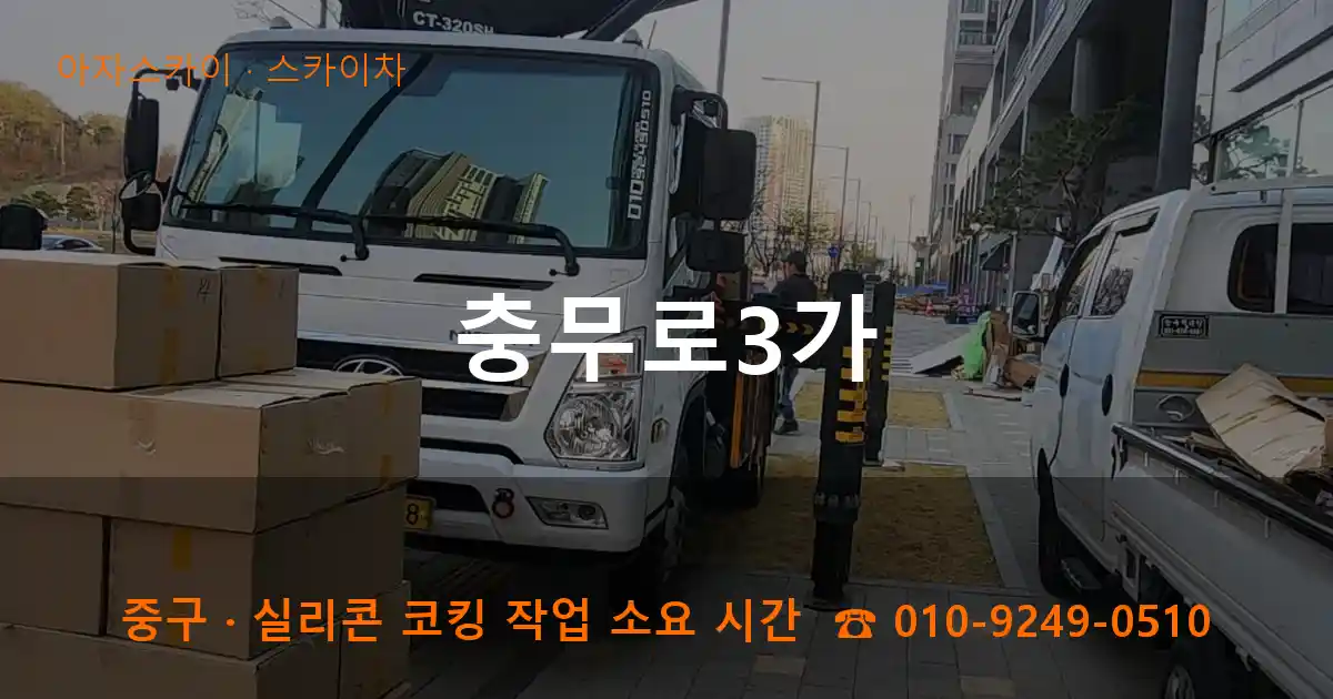 중구 충무로3가 스카이차 작업