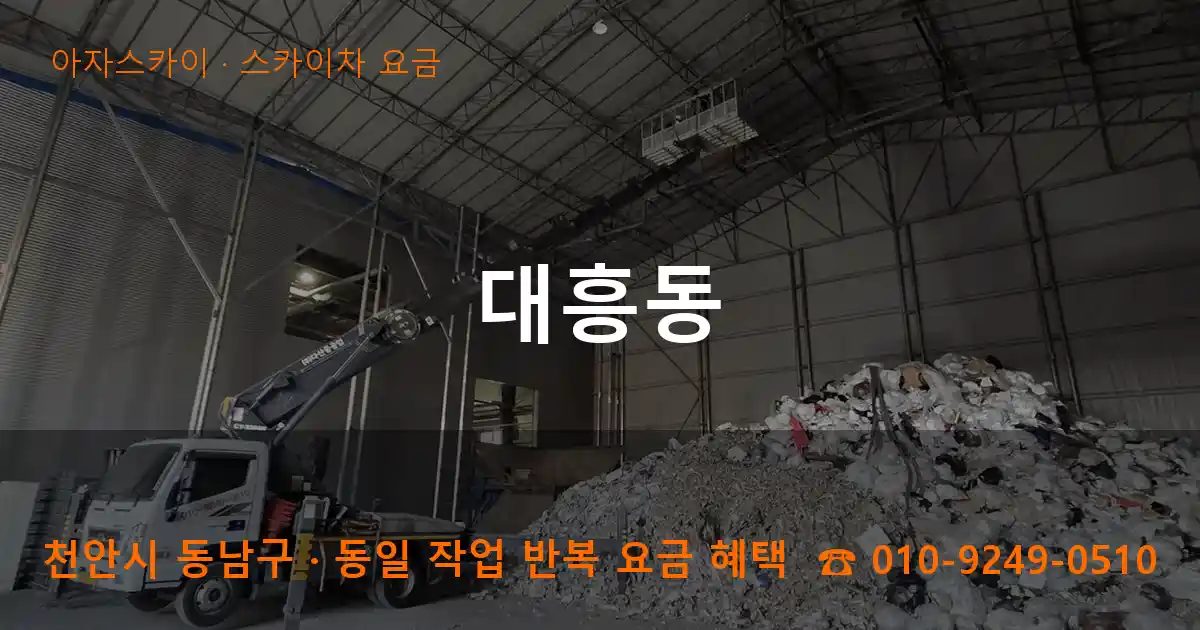 천안시 동남구 대흥동 스카이차 요금 작업