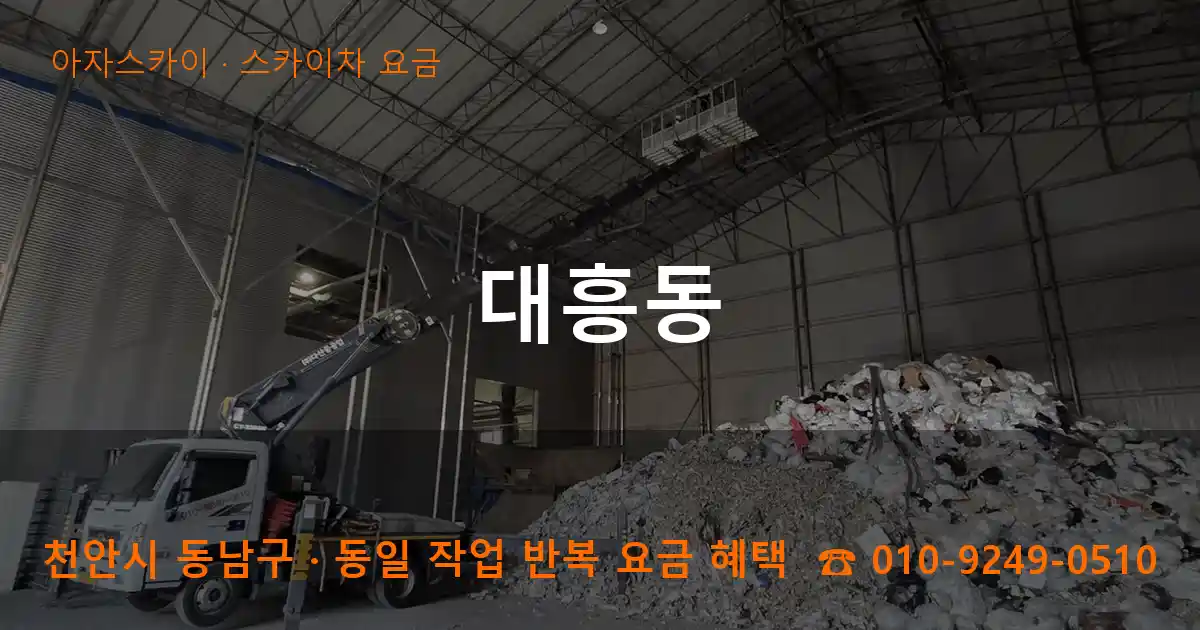 천안 동남구 대흥동 스카이차 요금 작업