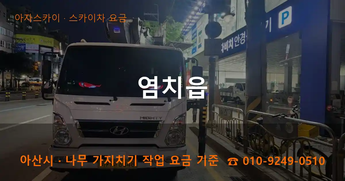 아산시 염치읍 스카이차 요금 작업