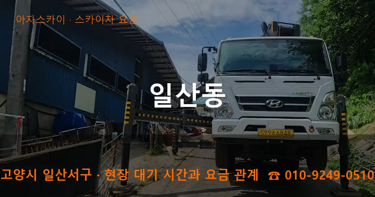 고양시 일산서구 일산동 스카이차 요금 작업