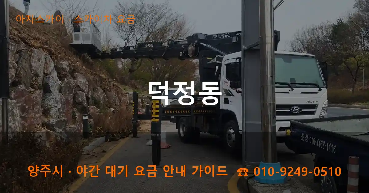 양주 덕정동 스카이차 요금 작업