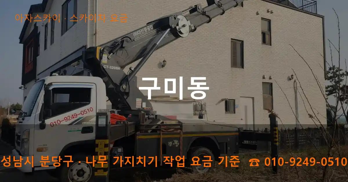 성남시 분당구 구미동 스카이차 요금 작업