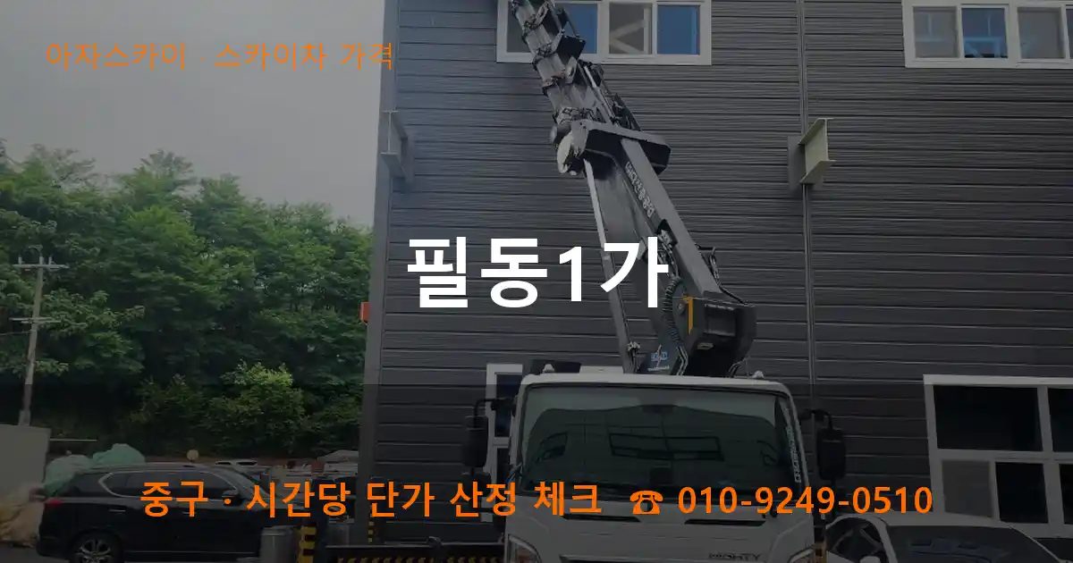 중구 필동1가 스카이차 가격 작업