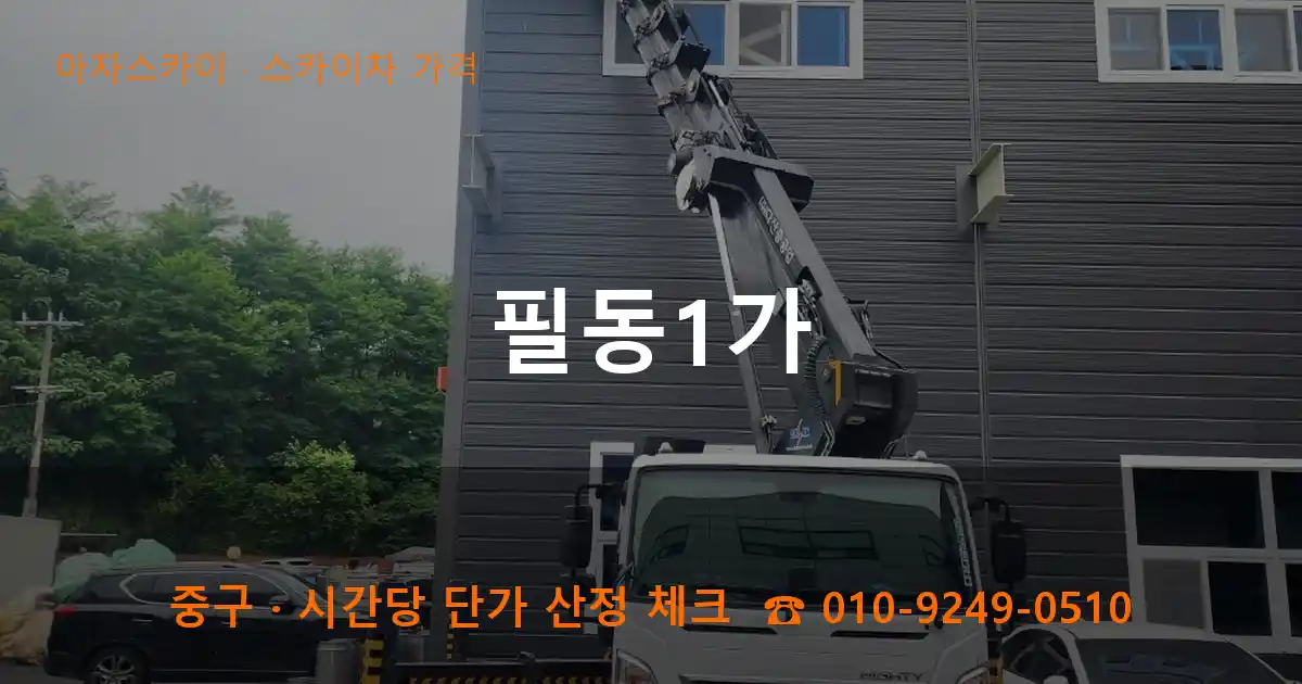 중구 필동1가 스카이차 가격 작업
