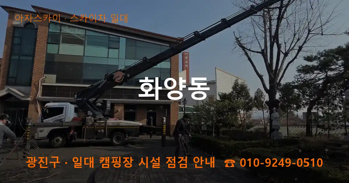 광진구 화양동 스카이차 일대 작업