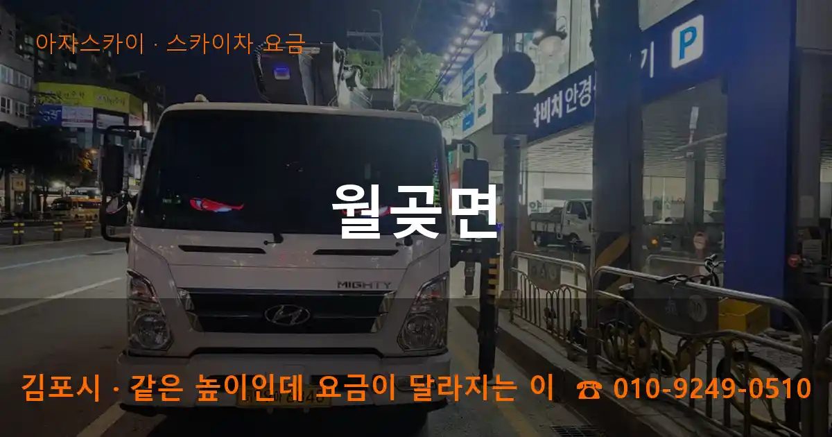 김포시 월곶면 스카이차 요금 작업