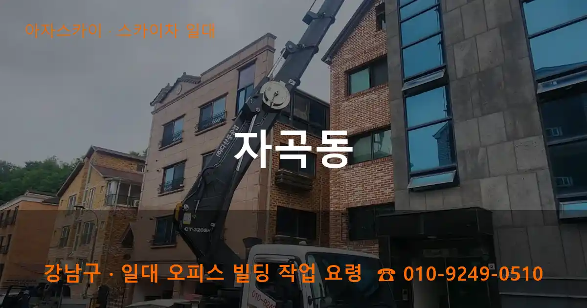 강남구 자곡동 스카이차 일대 작업