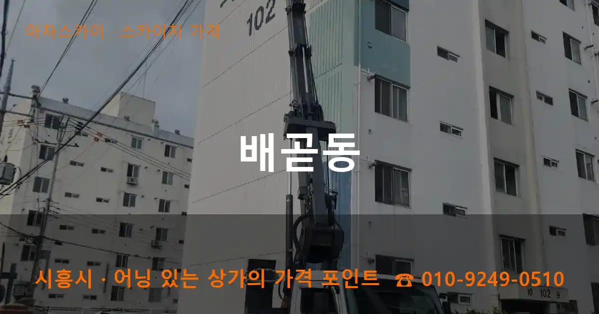 시흥시 배곧동 스카이차 가격 작업