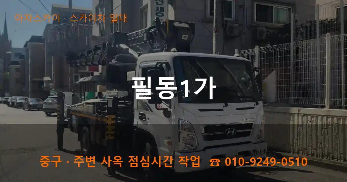 중구 필동1가 스카이차 출장 작업