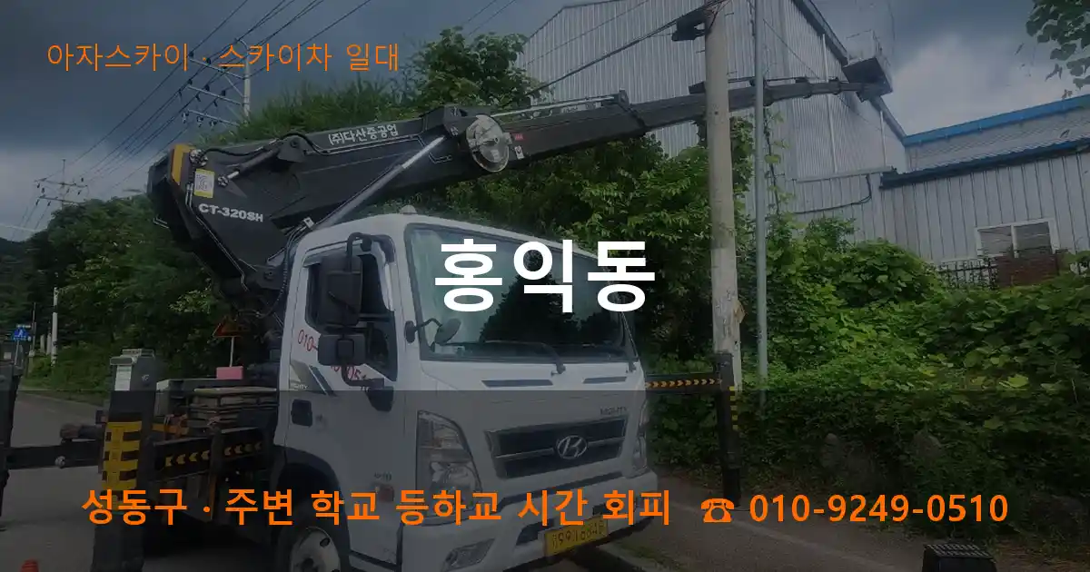 성동구 홍익동 스카이차 일대 작업