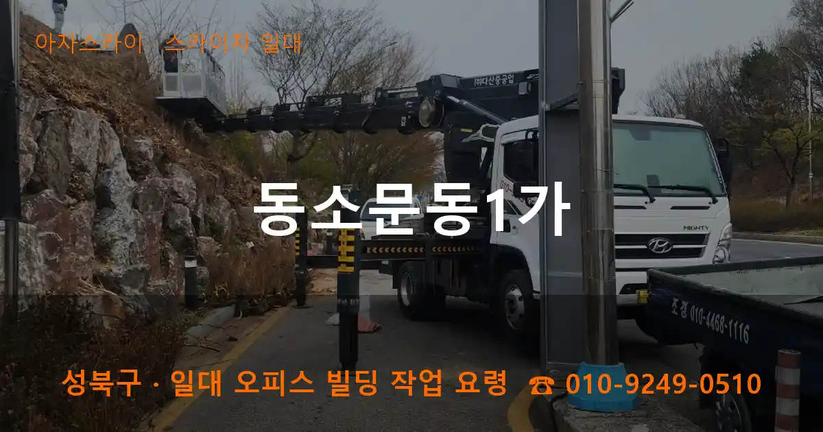 성북구 동소문동1가 스카이차 일대 작업