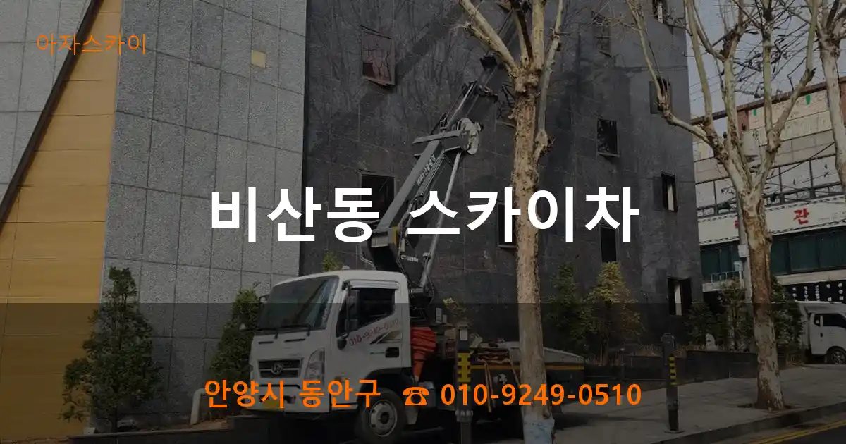안양시 동안구 비산동 스카이차