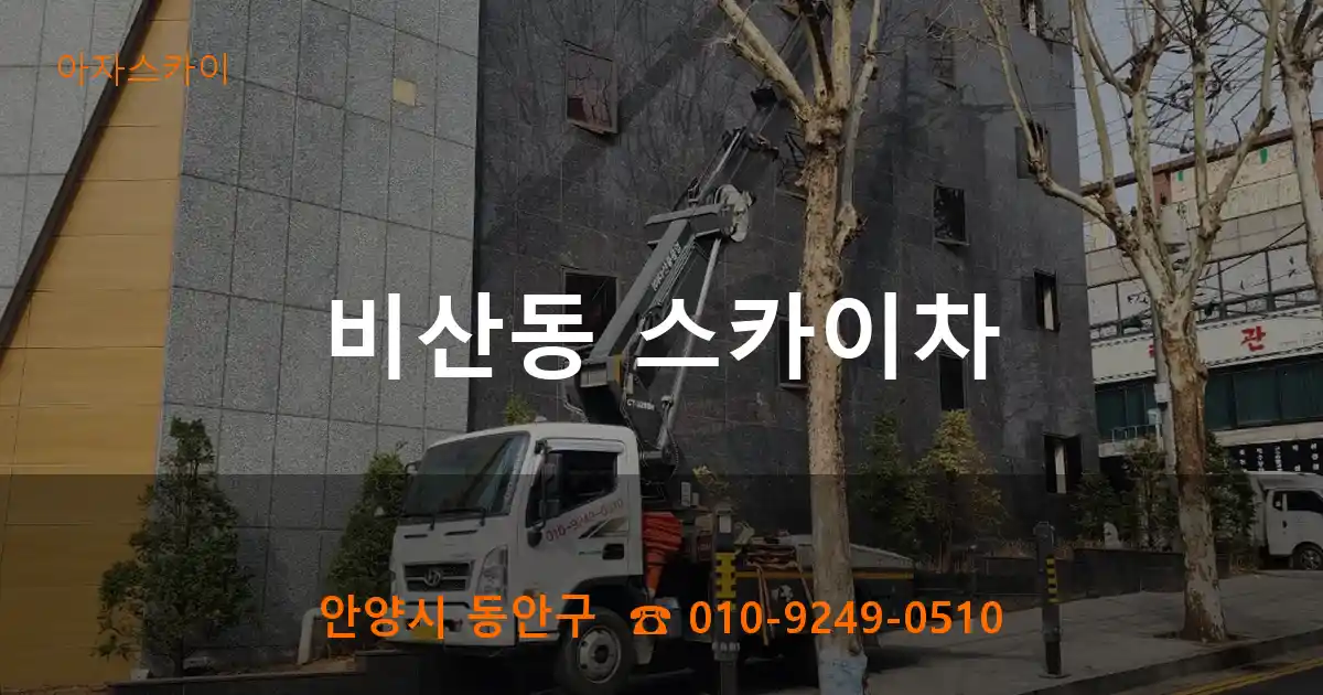 안양시 동안구 비산동 스카이차