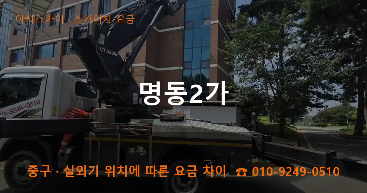 중구 명동2가 스카이차 요금 작업