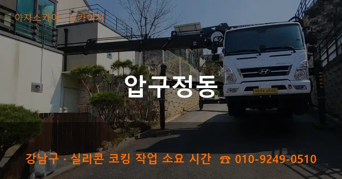 강남구 압구정동 스카이차 작업