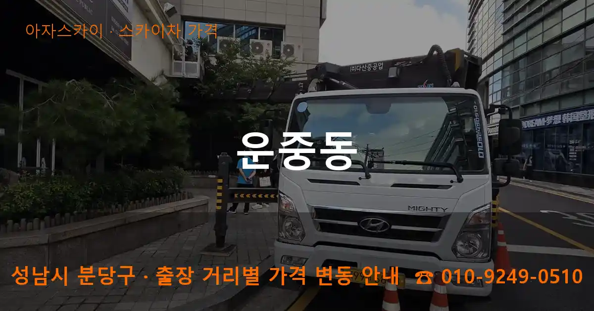 성남 분당구 운중동 스카이차 가격 작업