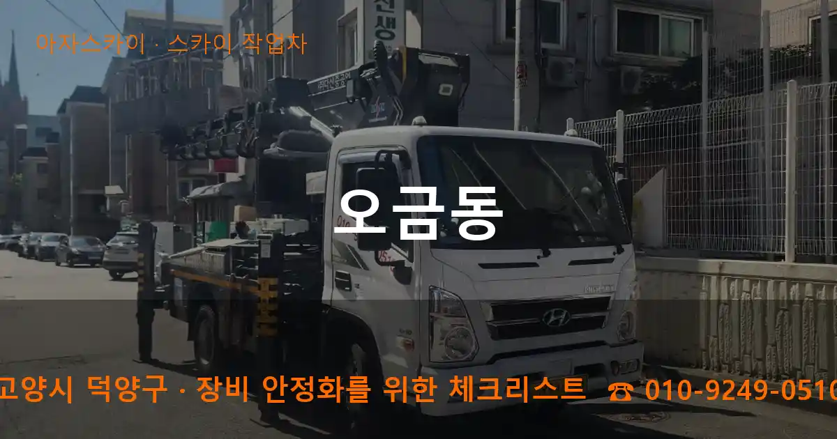 고양시 덕양구 오금동 스카이 작업차 작업