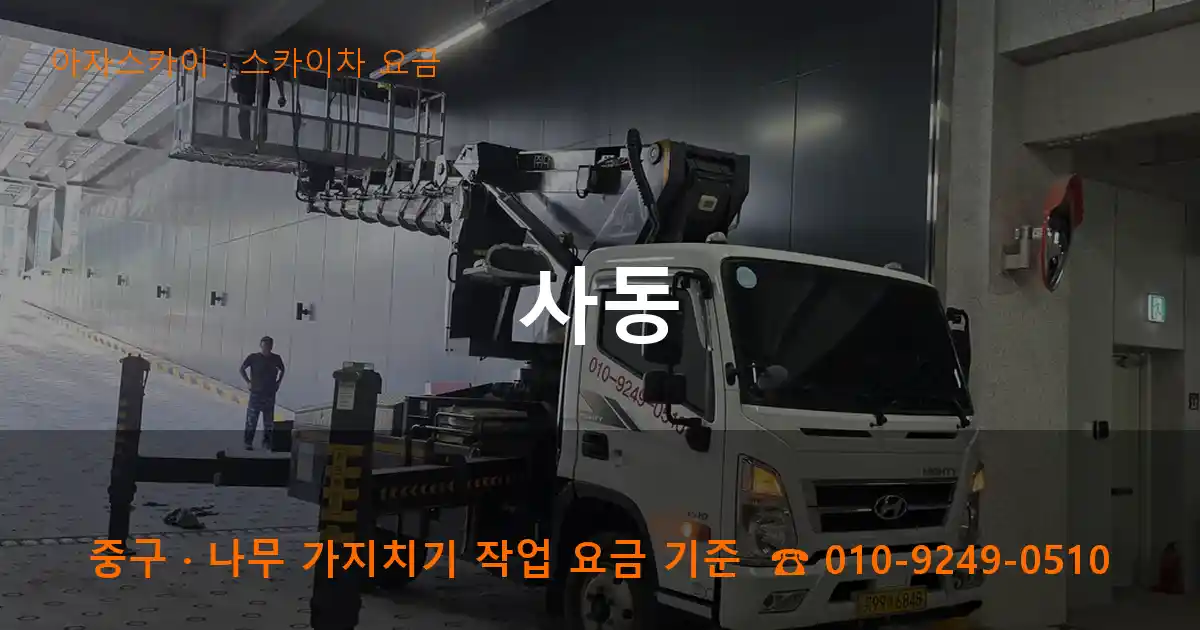 중구 사동 스카이차 요금 작업