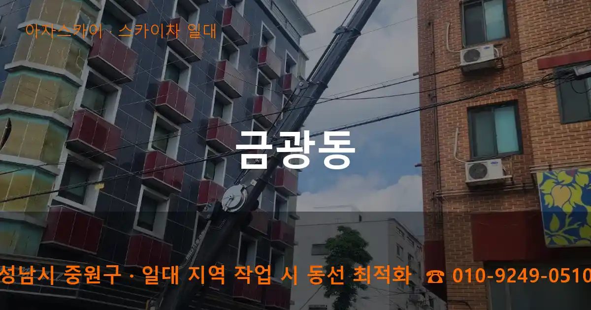성남시 중원구 금광동 스카이차 출장 작업
