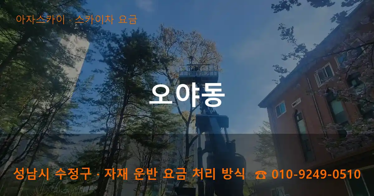 성남 수정구 오야동 스카이차 요금 작업