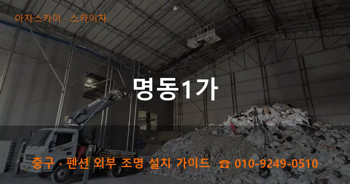 중구 명동1가 스카이차 작업