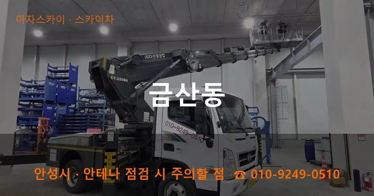 안성시 금산동 스카이차 작업
