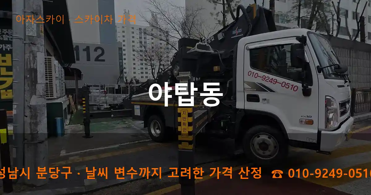 성남시 분당구 야탑동 스카이차 가격 작업