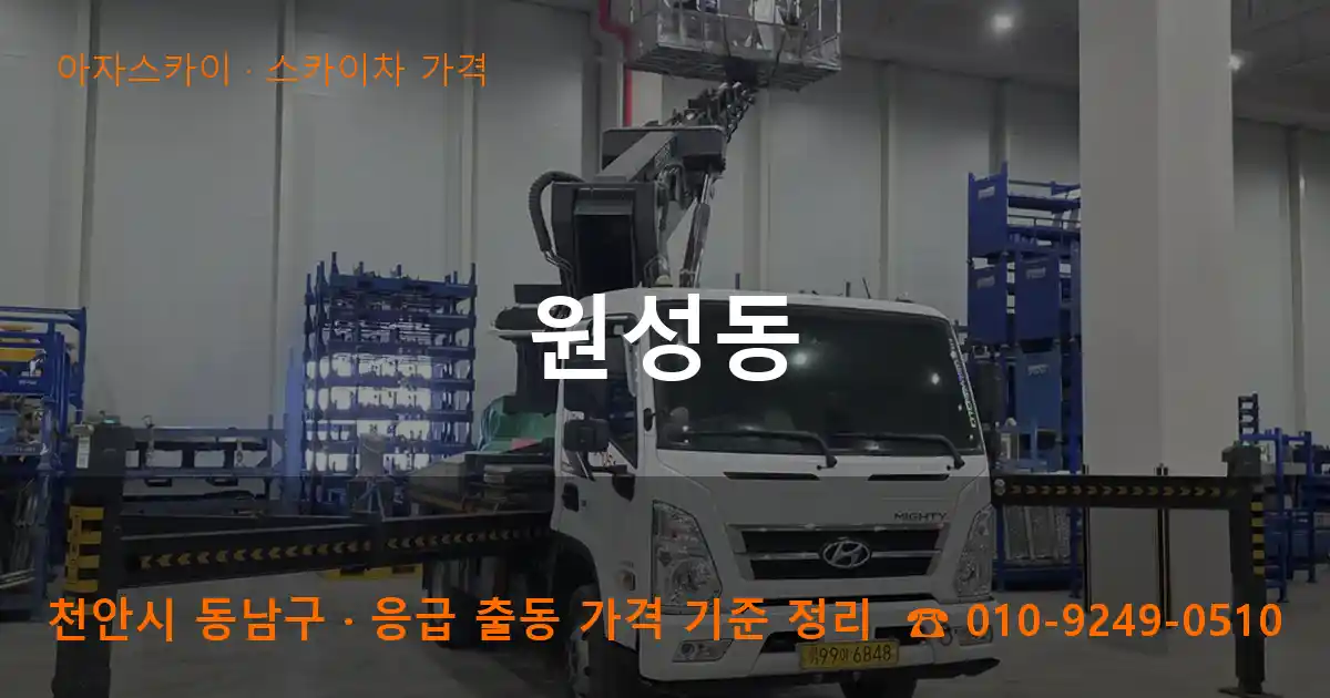 천안 동남구 원성동 스카이차 가격 작업